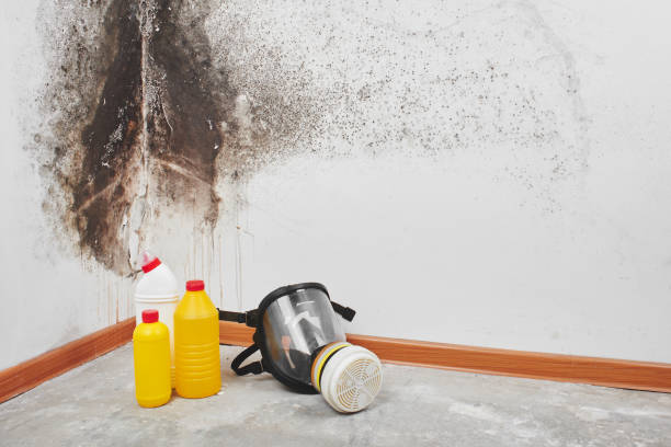 Middletown, CA Mold Removal Company