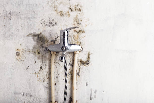  Middletown, CA Mold Removal Pros