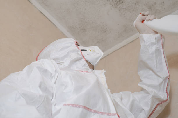 Best Black Mold Removal  in Middletown, CA